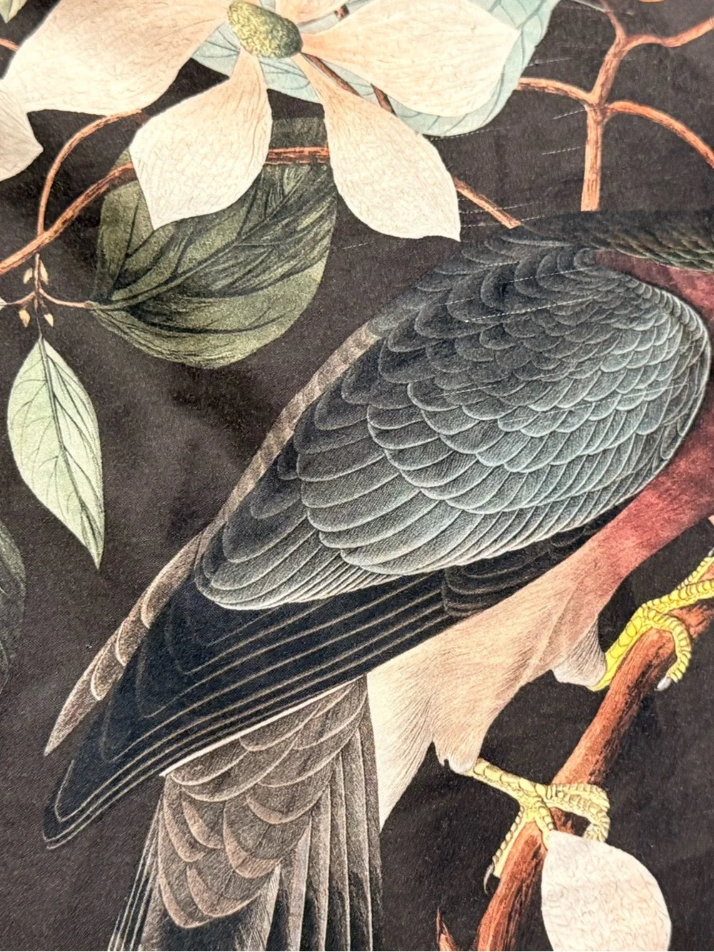 Cuddledown James Audubon Pigeon Birds King Duvet Cover